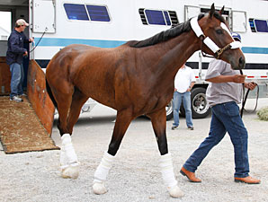 Kentucky Oaks contender Dreaming of Julia arrives at Churchill Downs Photo: Reed Palmer